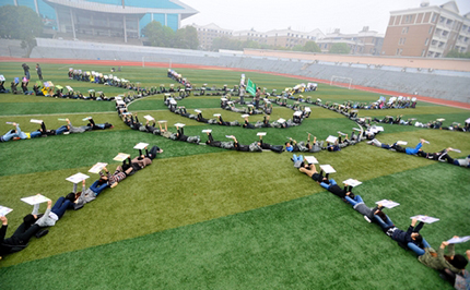 “多米诺”倒下请保护生物多样性