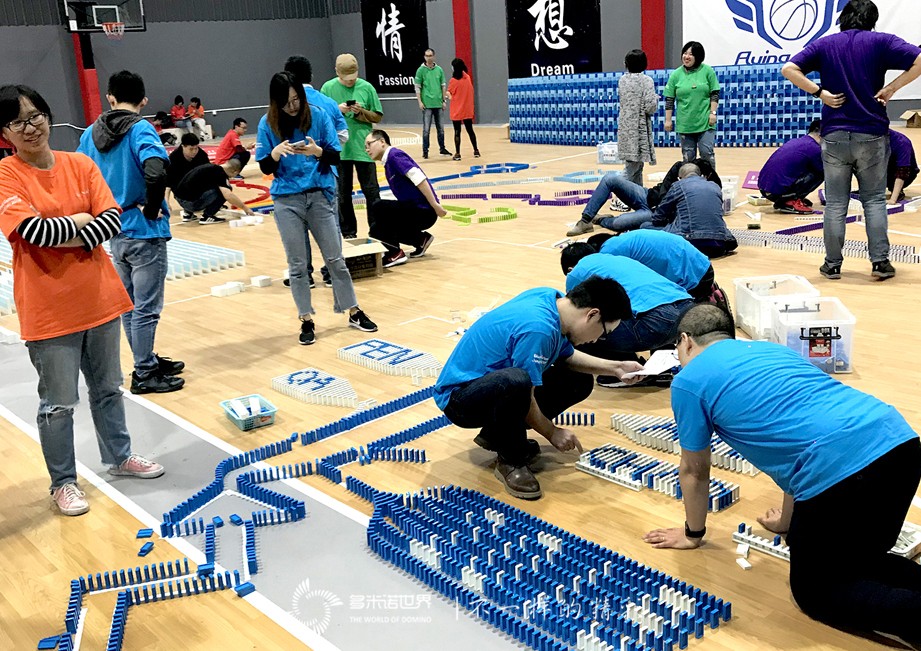 诺华蓝色文化之旅，在多米诺世界扬帆启航