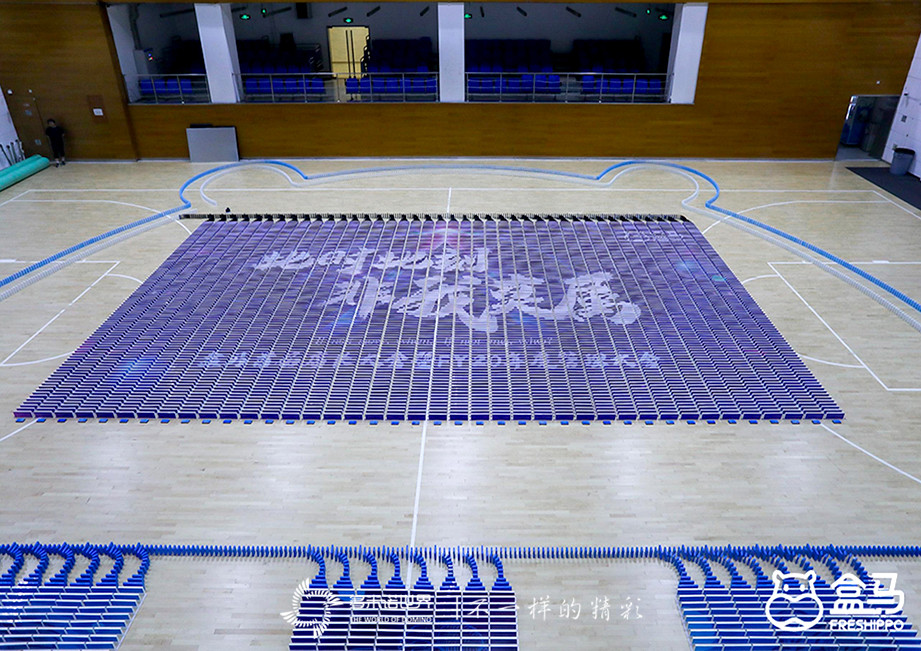 此时此刻、非我莫属-多米诺出彩盒马店长大会