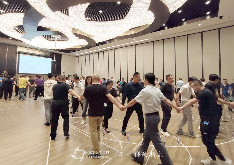 “聚势启航，同驱未来”-西门子LDA团队多米诺大挑战   