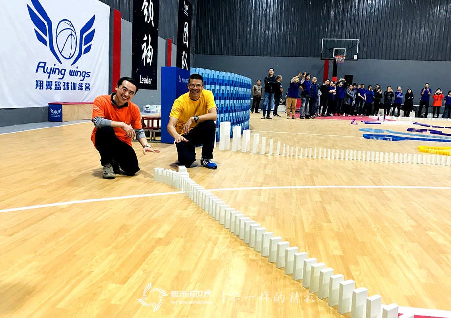 诺华蓝色文化之旅，在多米诺世界扬帆启航