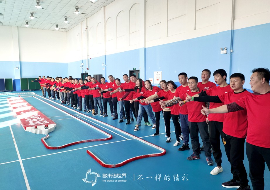 赛特奥莱团队砥砺奋进，多米诺大挑战完美收官