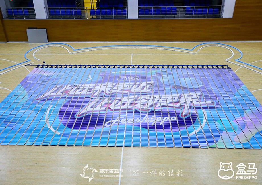 此时此刻、非我莫属-多米诺出彩盒马店长大会