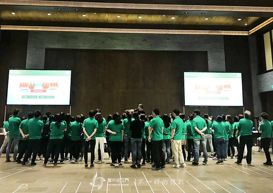 喜力，一次无与伦比的多米诺团队建设