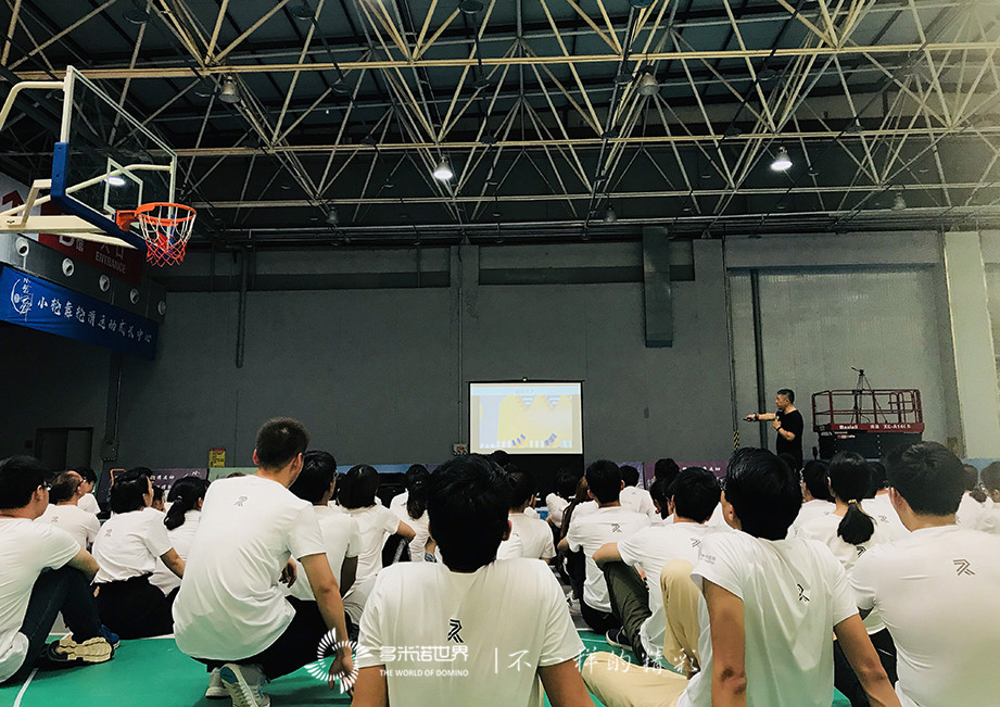 科捷新手训练营-在多米诺世界成为更好的自己