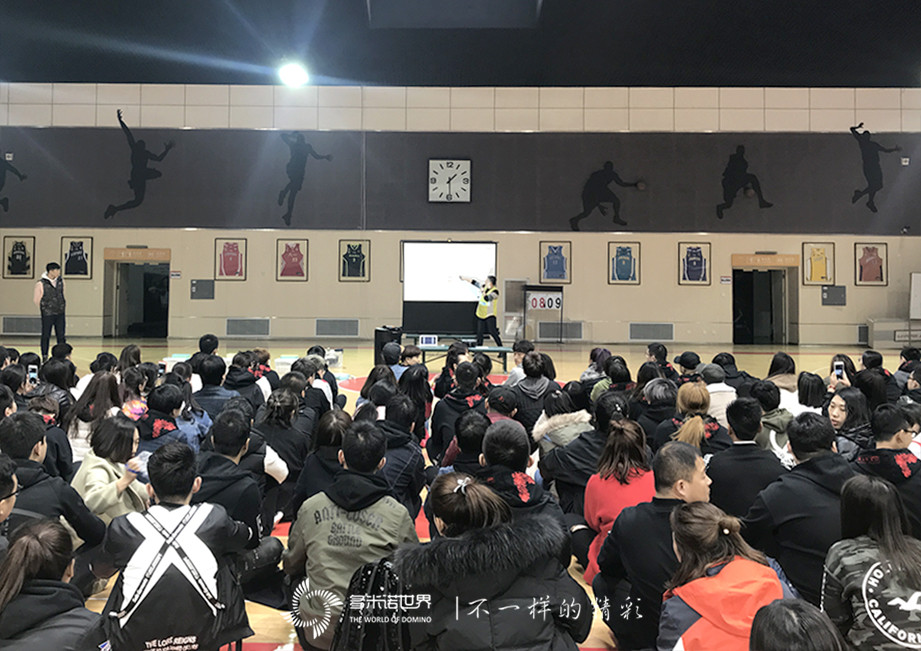 多米诺团队大挑战开启李宁服务+新篇章