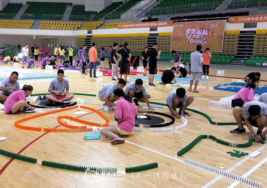 梦想启航，青春飞young—新东方在线校园大使多米诺团队大挑战