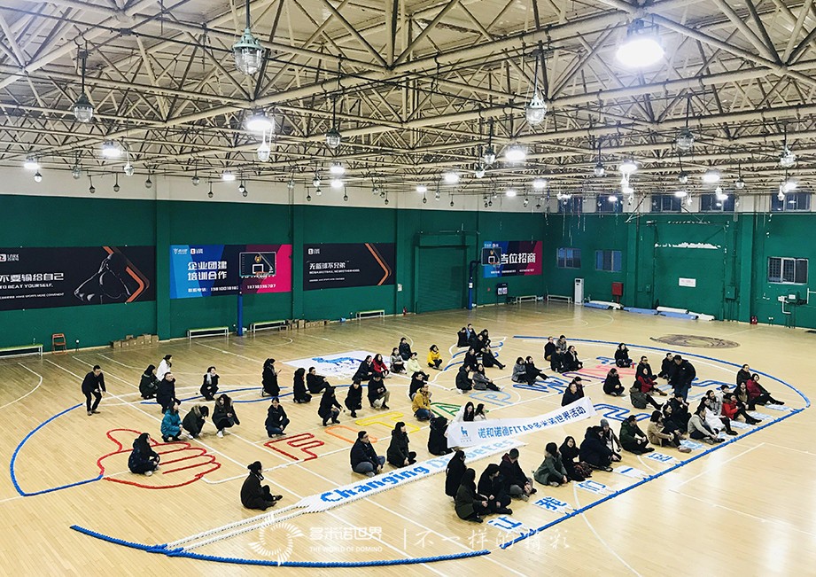 诺和诺德的多米诺世界之旅