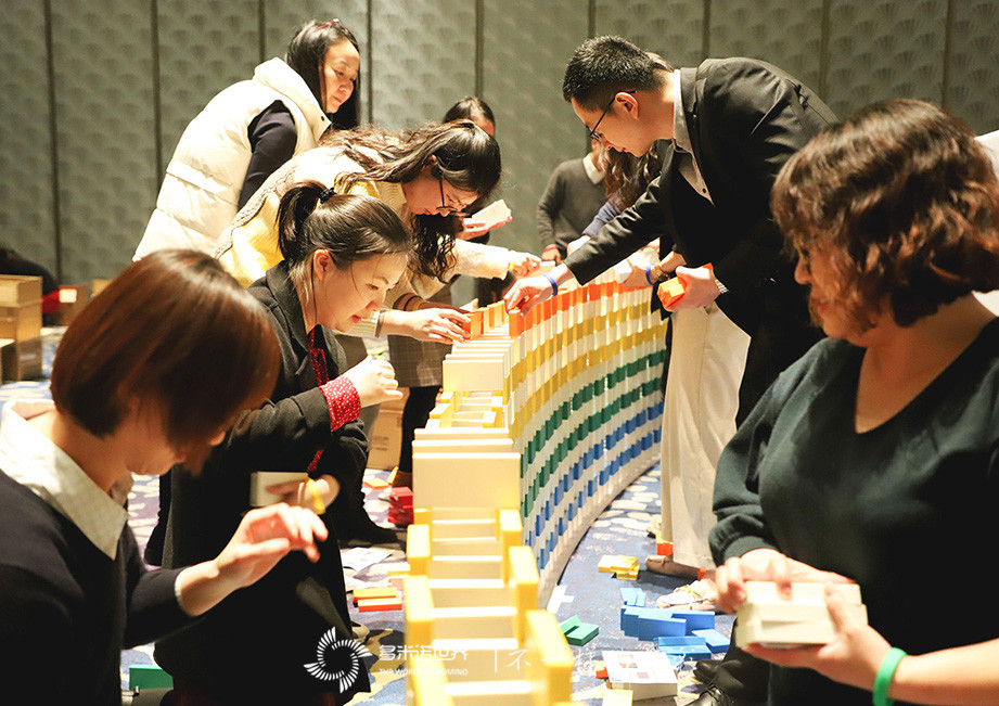 赛诺菲多米诺贺年会