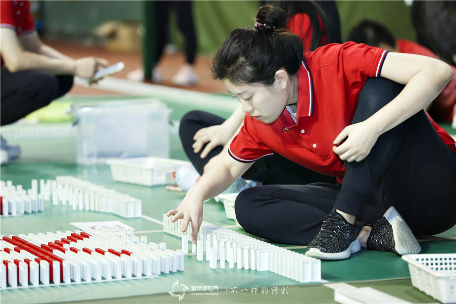 国新投资多米诺团队大挑战