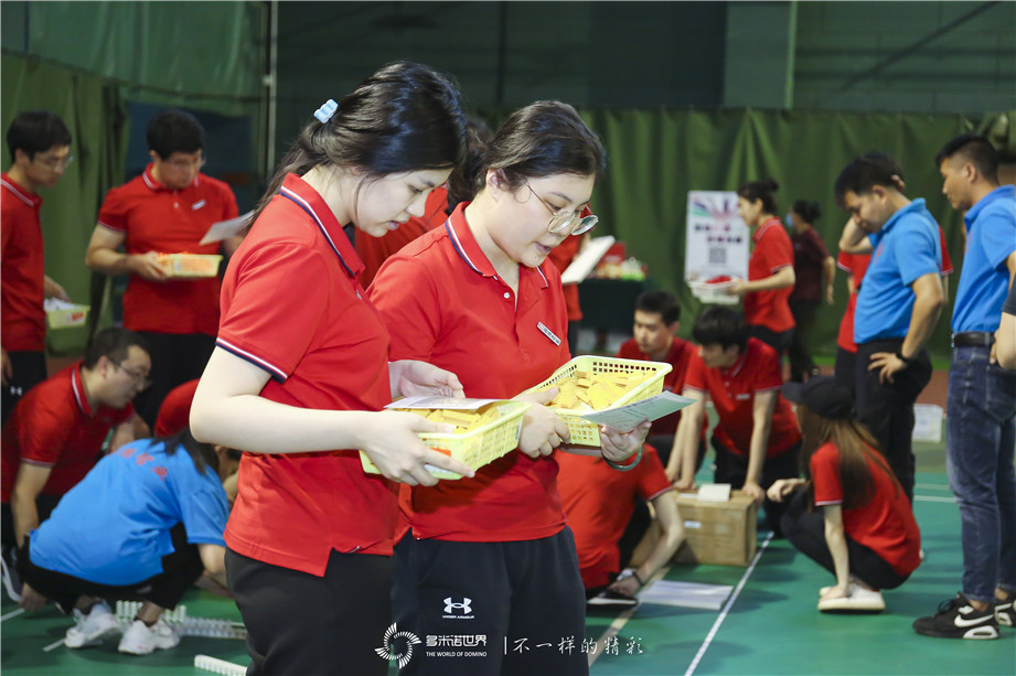 国新投资多米诺团队大挑战