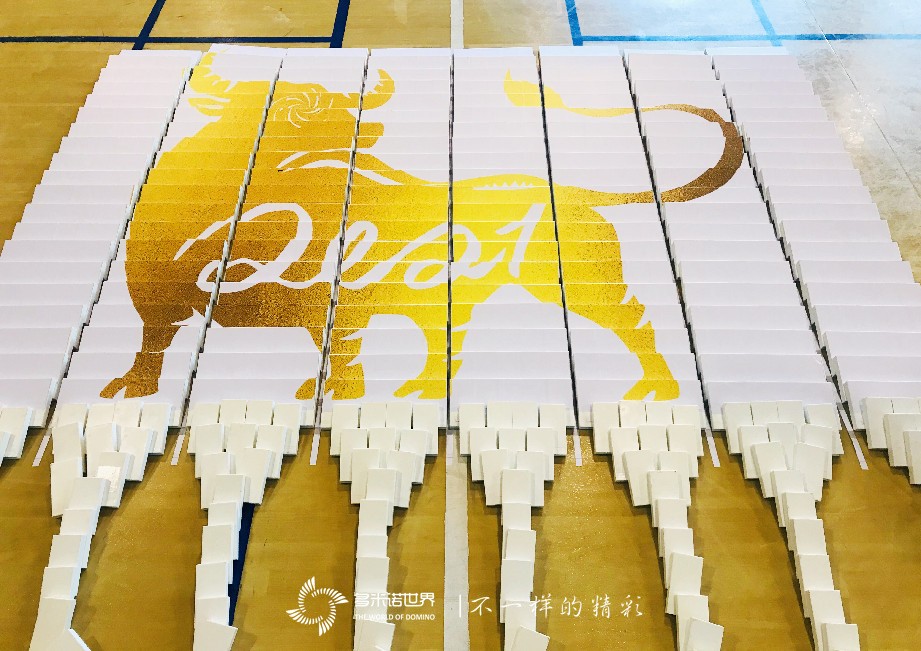 泰康资产晋升仪式——团队共创智能方块世界