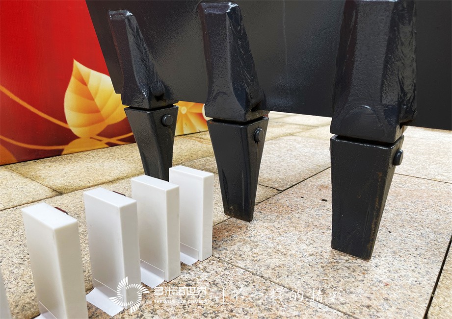 多米诺走进“今日中国”