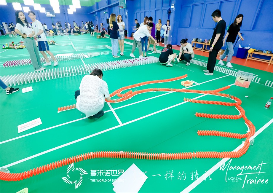 欧莱雅多米诺智慧城市大挑战